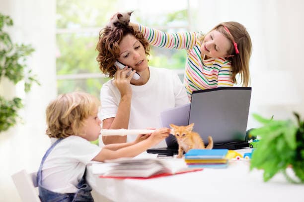Observing family dynamics